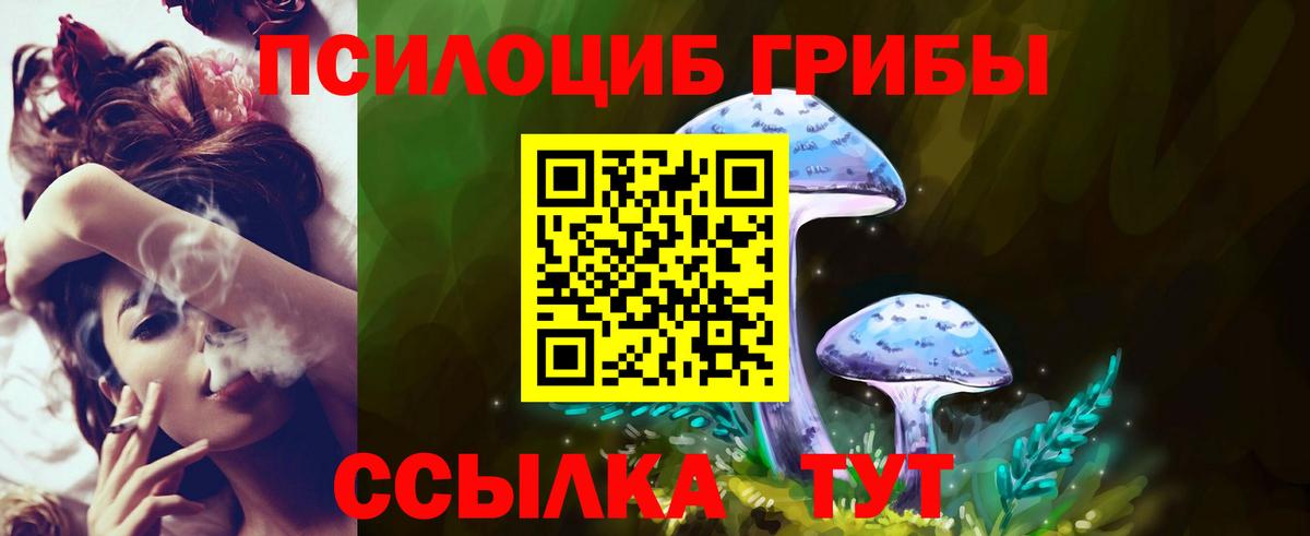 Ишимбай  Псилоцибиновые грибы GOLDEN TEACHER  магазин продажи   Вход с VPN 